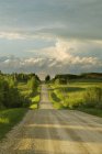 Strada di campagna vicino a Cochrane, Alberta, Canada — Foto stock