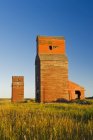 Vieux silos à grains dans la ville fantôme de Neidpath, Saskatchewan, Canada — Photo de stock