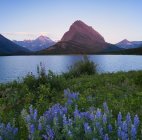 Sonnenaufgang über Grinnell Point und Swiftcurrent Lake, Glacier National Park, Montana, USA. — Stockfoto