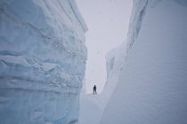 Sci di fondo maschile attraverso ghiacciaio, Icefall Lodge, Golden, British Columbia, Canada — Foto stock