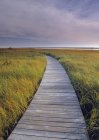 Boardwalk along Salt Marsh, Kouchibouguac National Park, New Brunswick, Canada. — Stock Photo