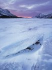 Ghiaccio sul lago Abraham a Kootenay Plains Ecological Reserve in inverno, Alberta, Canada
. — Foto stock