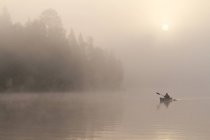 Hombre remando en canoa en solitario en Oxtongue Lake, Muskoka, Ontario . - foto de stock