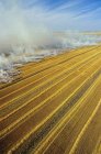 Vista aérea das culturas residuais queimadas em Manitoba, Canadá . — Fotografia de Stock