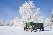 Old green wagon and trees in frost near Oakband, Manitoba, Canada — Stock Photo