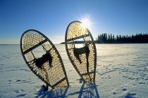 Raquetas de nieve que se pegan de la nieve en el lago helado del norte en Canadá . - foto de stock