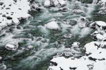 Fließendes Wasser des Baches in schneebedeckter Schlucht — Stockfoto