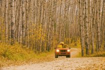 Caminhão na estrada de cascalho, Parque Nacional Príncipe Albert, Saskatchewan, Canadá — Fotografia de Stock
