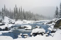 Cascate del gomito in inverno, Parco Provinciale delle Cascate del gomito, Paese di Kananaskis, Alberta, Canada — Foto stock