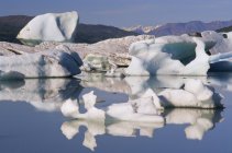Icebergs varados en el lago Lowell en el Parque Nacional Kluane, Yukón, Canadá . - foto de stock