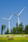 Windgeneratoren mit Heuballen und Wildblumen auf der Wiese, Shelburne, Ontario, Canada — Stockfoto