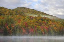 Feuillage automnal de forêt au bord du lac Renaud dans les Laurentides près de Morin-Heights, Québec — Photo de stock
