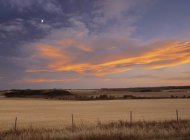 Nuvens de pôr do sol sobre campo de feno perto de Water Valley, Alberta, Canadá — Fotografia de Stock