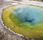 Colored volcanic pool in Yellowstone National Park, Wyoming, USA — Stock Photo