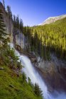 Panther Falls cachoeira em montanhas de Banff National Park, Alberta, Canadá — Fotografia de Stock