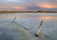 Забор в замерзшем болоте около Кокрана, Альберта, Канада — стоковое фото