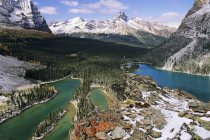 Luftaufnahme von Seen und Flechten und schneebedecktem Opabinplateau, Yoho-Nationalpark, britische Kolumbia, Kanada — Stockfoto