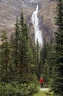 Woman taking picture of Takakkaw Falls in Canadian Rockies, Yoho, National Park, British Columbia, Canada — Stock Photo