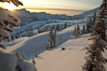 Людина, катання на лижах в беккантрі в Sol Гора, Monashee беккантрі, Revelstoke, Канада — стокове фото