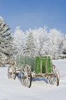Old wagon in forest with hoarfrost on trees near Cooks Creek, Manitoba, Canada — Stock Photo