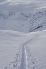 Alpine skin track on snow at Icefall Lodge, British Columbia, Canada — Stock Photo