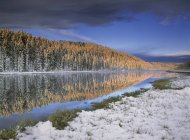Snow at shore of Winchell Lake in woodland of Alberta, Canada. — Stock Photo