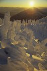 Лижник насолоджуючись заходом сонця в країнах Ферні Resort, ящірка діапазону, Британська Колумбія, Канада — стокове фото