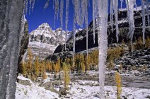 Opabin Plateau seen through icicles in Yoho National Park, British Columbia, Canada. — Stock Photo