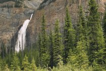 Agua corriente de las cataratas Takakkaw en el acantilado de montaña del Parque Nacional Yoho, Columbia Británica, Canadá - foto de stock
