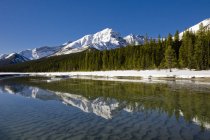 Reflexão de montanhas em montanhas rochosas canadenses ao longo Icefield Parkway em Alberta, Canadá — Fotografia de Stock