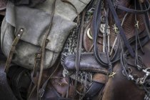 Horse tack equipment, bag and ropes, full frame — Stock Photo