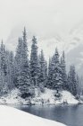 Snow-capped trees by Elbow Lake at Elbow Pass in Peter Lougheed Provincial Park, Alberta, Canada. — Stock Photo