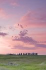 Зернистості із зернових елеваторів поблизу лідера, Саскачеван, Канада — стокове фото
