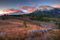 Nascer do sol e alpenglow acima Crowsnest Pass na fronteira de Alberta e Colúmbia Britânica, Canadá — Fotografia de Stock