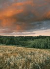 Dramatischer Himmel über dem grasbewachsenen qu appelle Valley, saskatchewan, canada — Stockfoto
