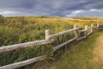 Сільських паркан на Кавендіш пляж Острів Принца Едуарда, Канада. — стокове фото