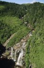 Aerial view of forest waterfall on South Coast of Newfoundland, Canada. — Stock Photo