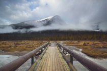 Изумрудный пик и мост вдоль Изумрудного озера в национальном парке Йо, Британская Колумбия, Канада . — стоковое фото
