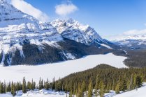 Lago Peyto congelado en invierno en el Parque Nacional Banff, Alberta, Canadá - foto de stock