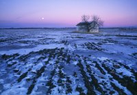 Luna llena y campo de rastrojos cerca de Devon, Alberta, Canadá - foto de stock