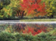 Деревья в осенней листве, отражающиеся в реке Мерси, Национальный парк Кедзимкуджик, Новая Шотландия, Канада — стоковое фото