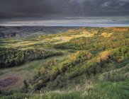 Aerial view of trees and valley of Dry Island Buffalo Jump Provincial Park, Alberta, Canada — Stock Photo