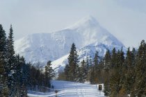 Versant de la colline Bellevue avec le mont Galwey en arrière-plan dans le parc national des Lacs-Waterton, Alberta, Canada — Photo de stock