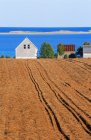 Field and farm houses with seascape near French River, Prince Edward Island, Canada — Stock Photo