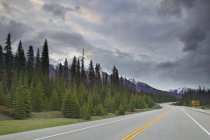 Vuoto Kootenay Parkway attraverso il bosco a Vermilion Crossing, Kootenay National Park, Columbia britannica, Canada — Foto stock