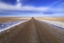 County road through field in winter, Alberta, Canadá . — Fotografia de Stock
