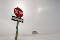 Segnaletica di stop e guida in auto su strada coperta di neve soffiante vicino a Morris, Manitoba, Canada — Foto stock