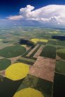 Veduta aerea dei campi e delle fattorie di Alberta, Canada
. — Foto stock