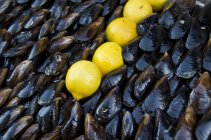 Mussels and lemons in food stand, full frame — Stock Photo