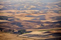 Champs de terres agricoles dans la région de Palouse dans l'est de l'État de Washington, États-Unis . — Photo de stock